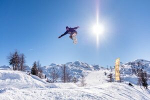 Snow Park Vogel