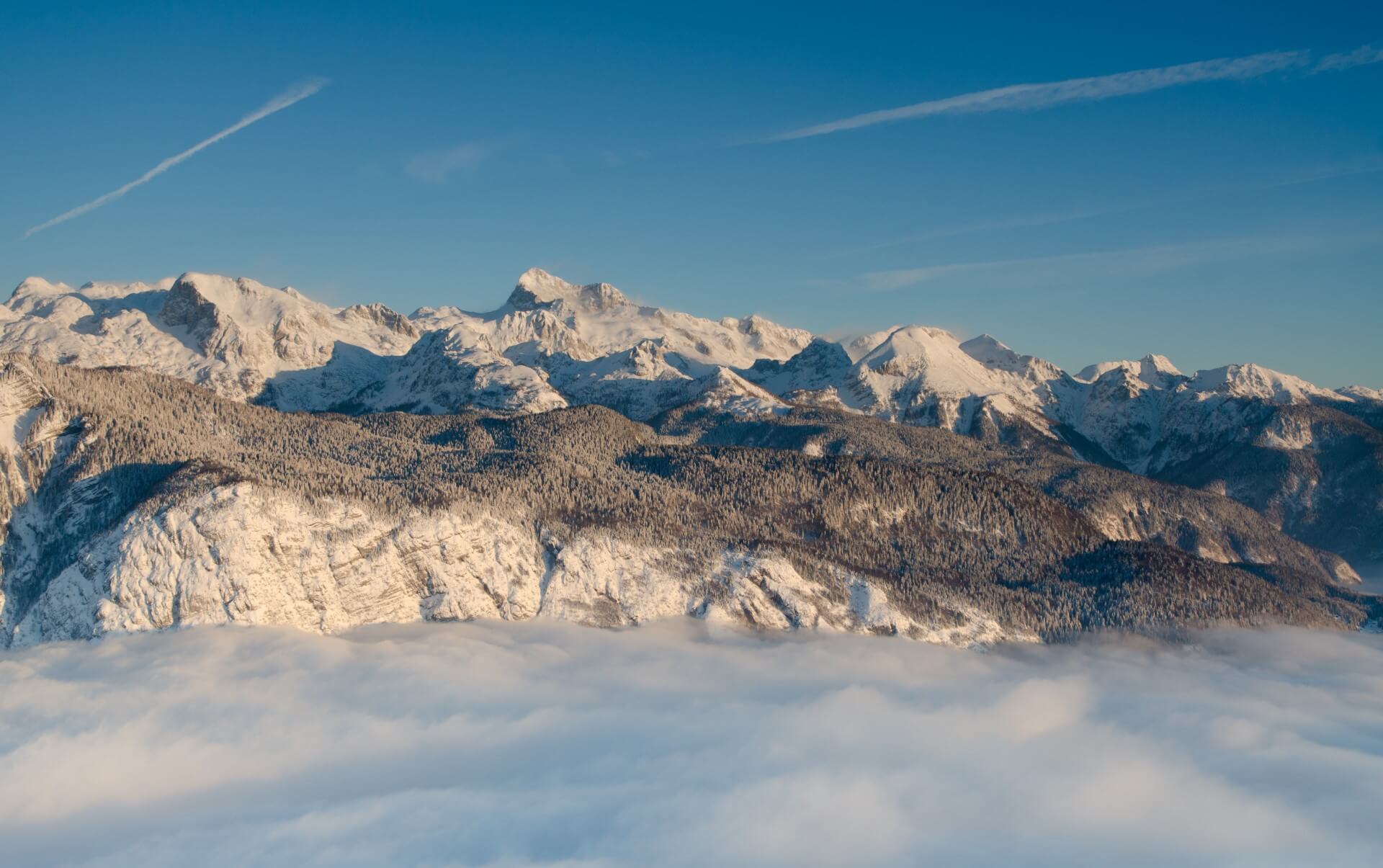 Vogel kamere - Smučarski center Vogel