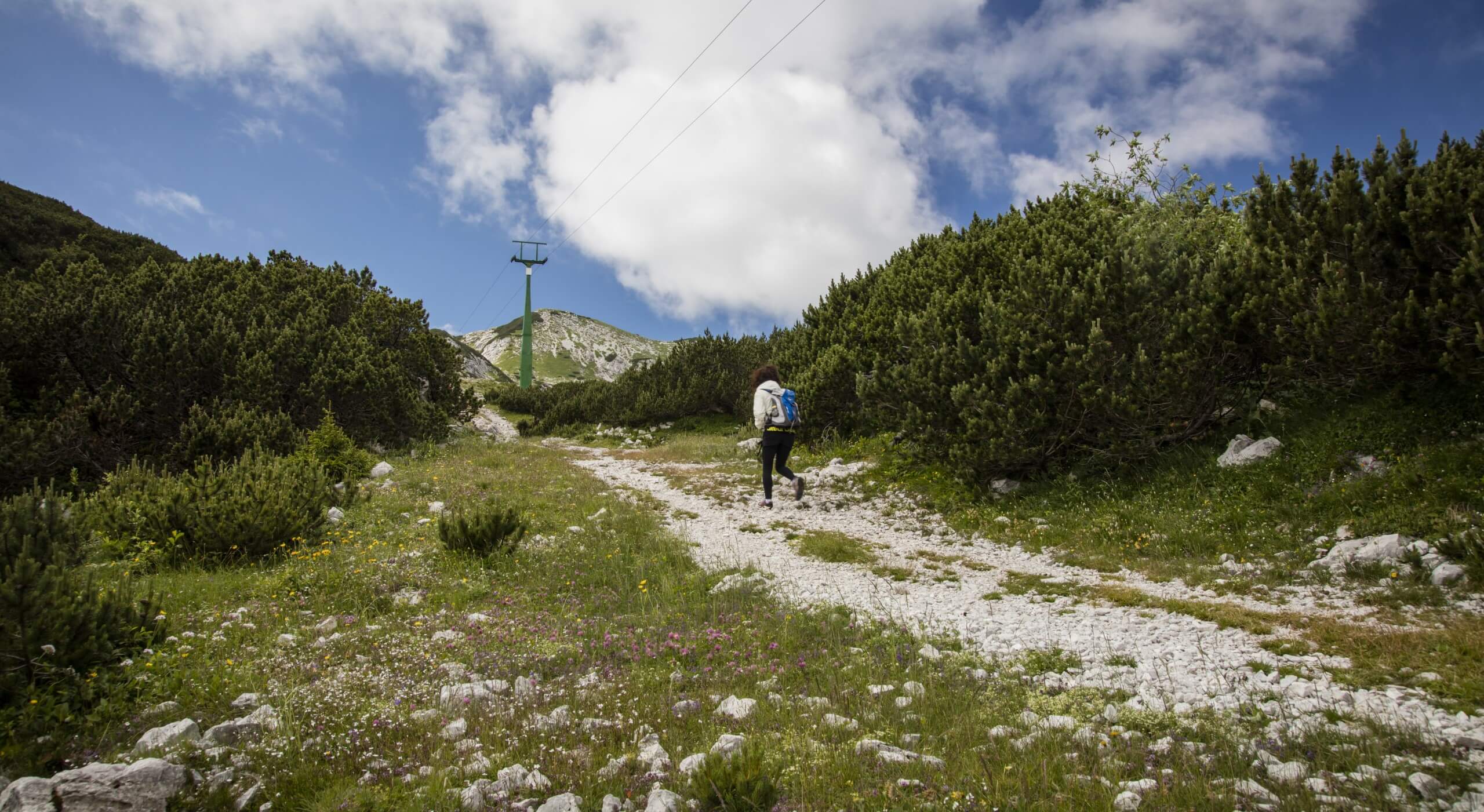Parking in javni prevoz